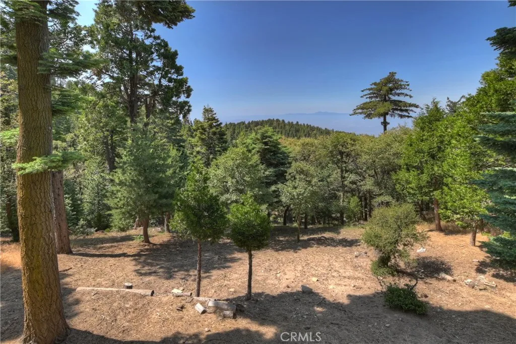 1040 Mile High Road, Twin Peaks, California 92391 home-pic-7
