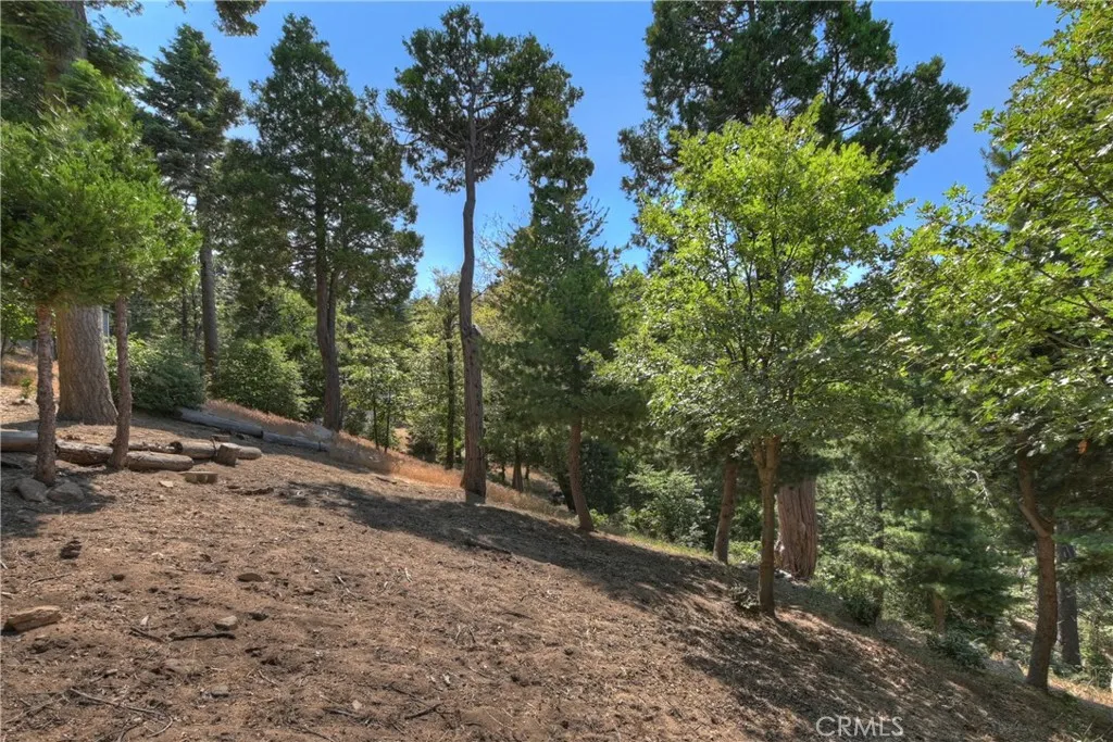 1040 Mile High Road, Twin Peaks, California 92391 home-pic-40