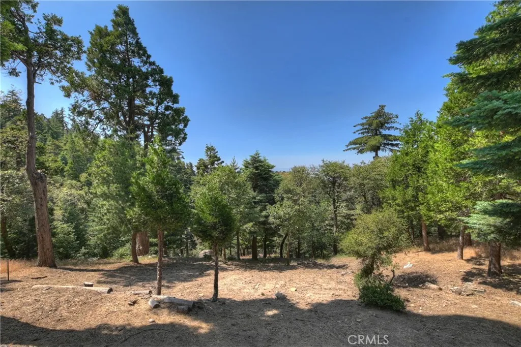 1040 Mile High Road, Twin Peaks, California 92391 home-pic-37
