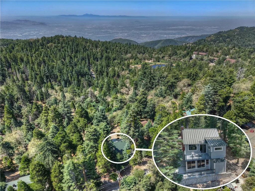 1040 Mile High Road, Twin Peaks, California 92391 home-pic-6