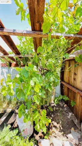 7762 Lytle Street, Sacramento, California 95832