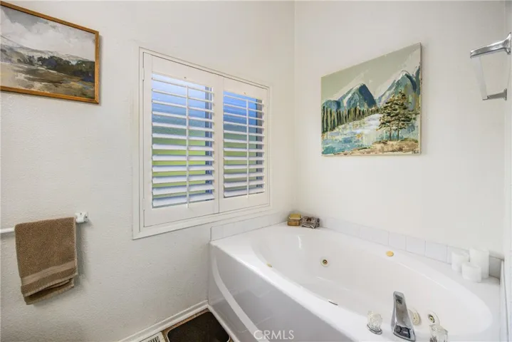Master bath soaker tub