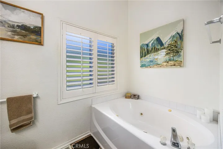 Master bath soaker tub