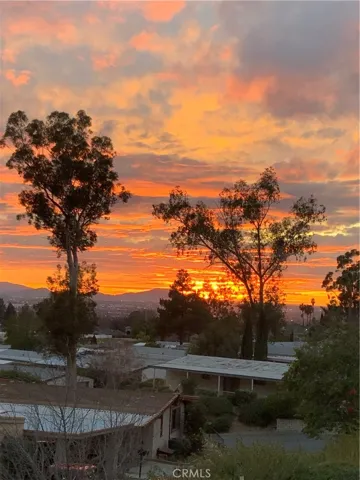 View from patio