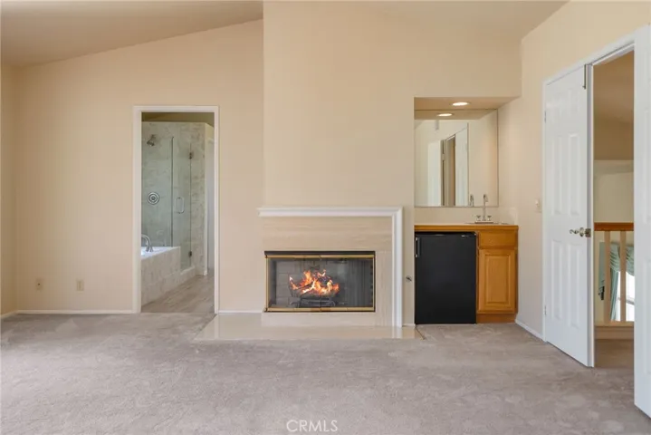 Fireplace and wet bar