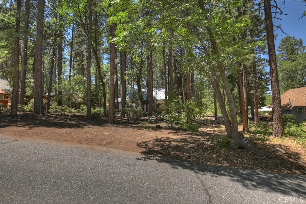 813 Eureka Drive, Big Bear Lake, California 92315 home-pic-21