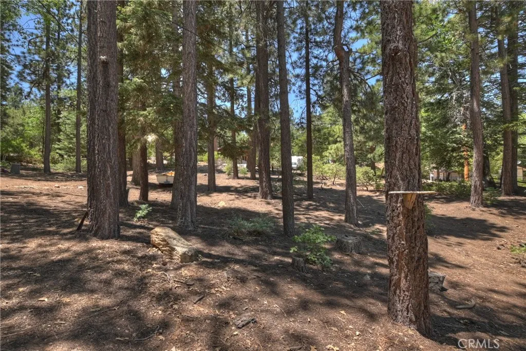 813 Eureka Drive, Big Bear Lake, California 92315 home-pic-20