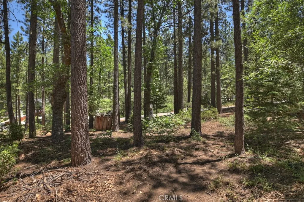 813 Eureka Drive, Big Bear Lake, California 92315 home-pic-23