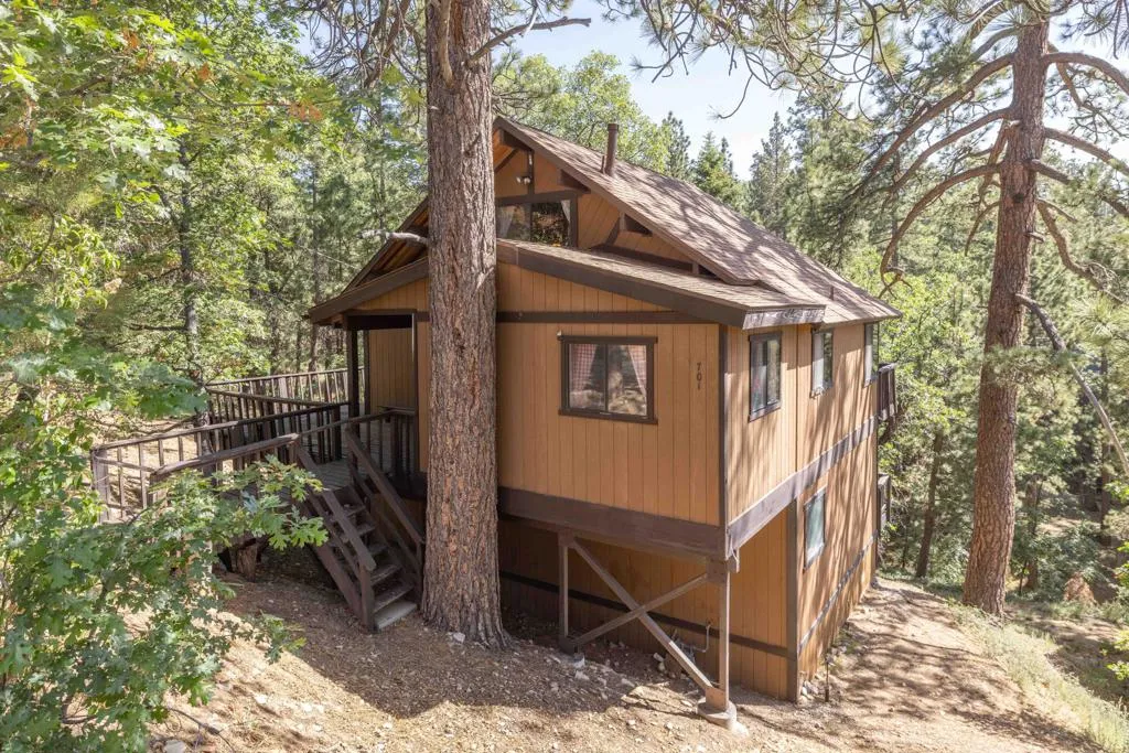 701 Butte Avenue, Big Bear, California 92314 home-pic-34