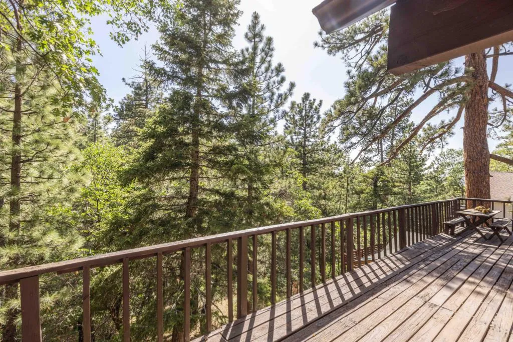 701 Butte Avenue, Big Bear, California 92314 home-pic-3