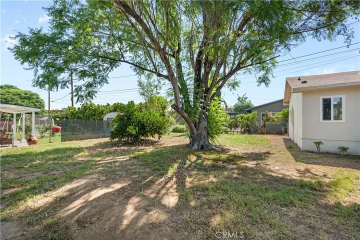 Back yard with beautiful shade tree