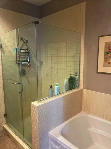 Master bedroom shower and bathtub