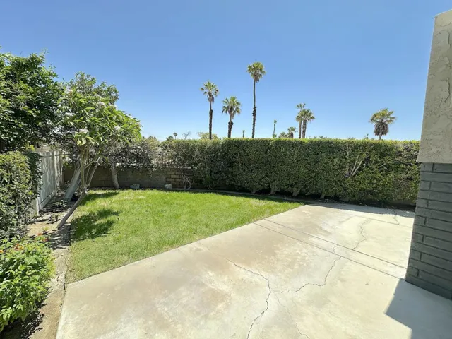 Back Yard 6