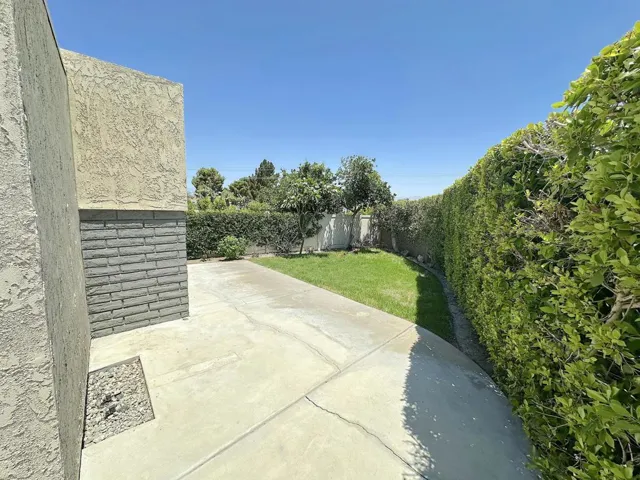 Back Yard 3