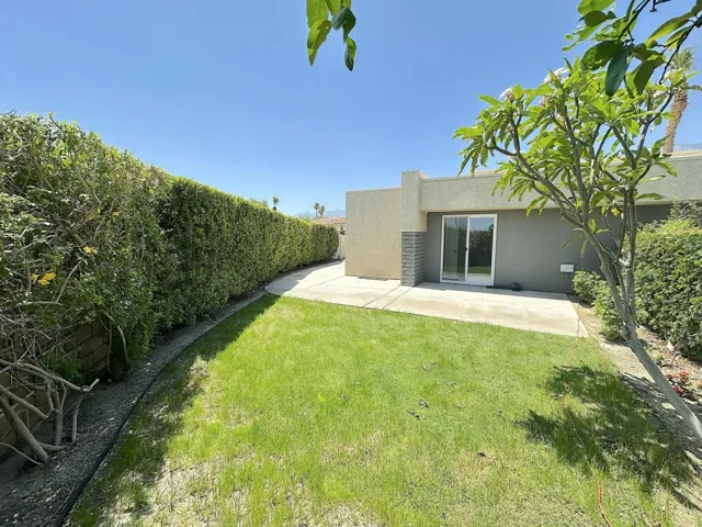 Back Yard 5