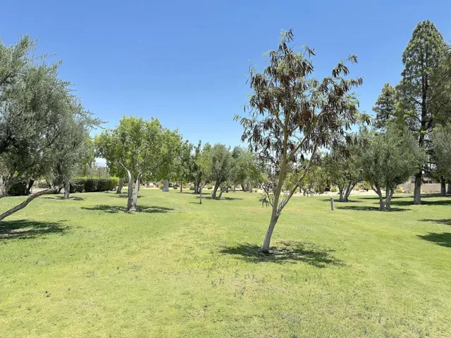 Park 2