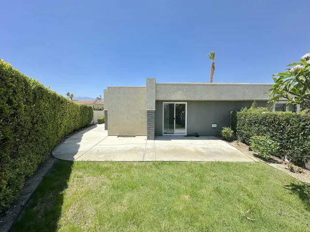Back Yard 1