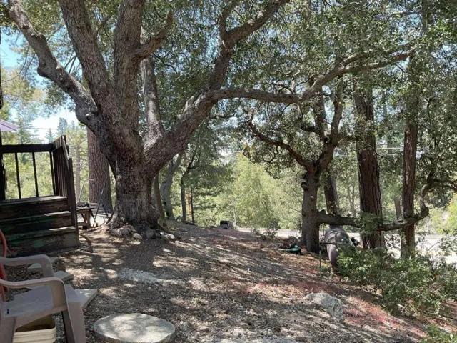 Side yard towards HWY 243