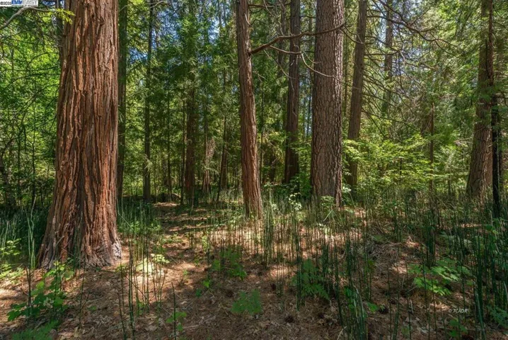 30 Dorleska Ct., Trinity Center, California 96091
