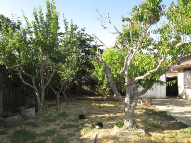 271 Carnoble Drive, Hollister, California 95023