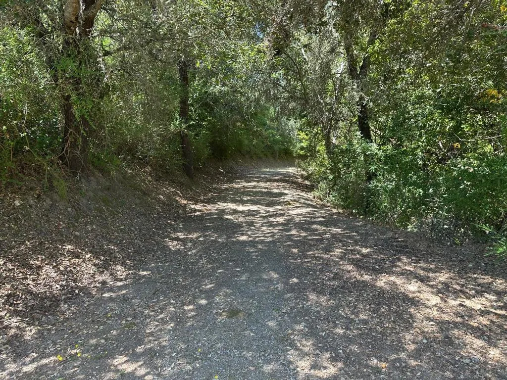 0 Main Boulevard, Los Gatos, California 95033 — photo 5
