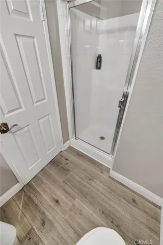 Lower Level Bathroom