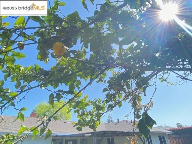 2157 Holbrook Dr, Concord, California 94519