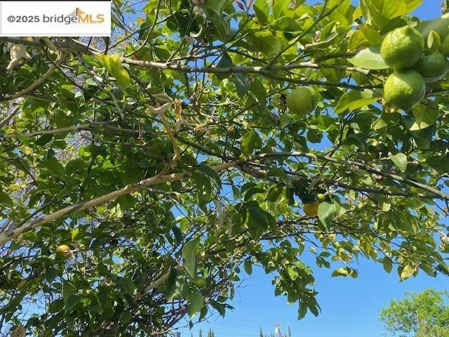 2157 Holbrook Dr, Concord, California 94519