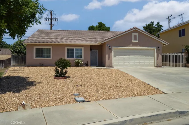 Easy-Care Yard