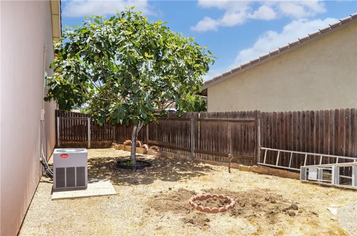 Side Yard with Fig Tree and Room for Possibilities