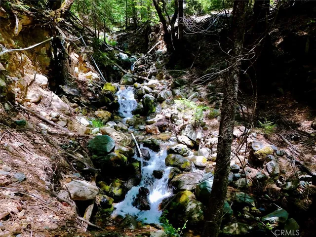 Creek running through the property.