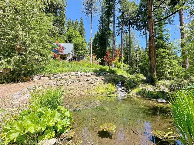 Pond with Waterfall
