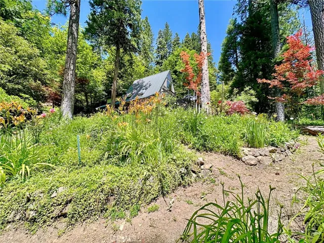 Pathway from Cabin to the Pond