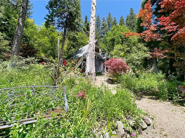 Pathway from Cabin to the Pond