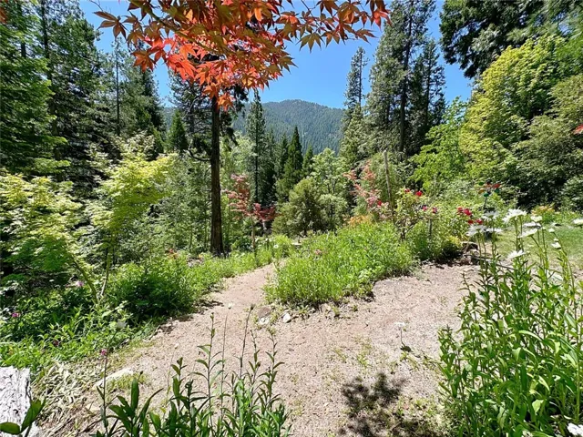 Gorgeous native landscaping everywhere.