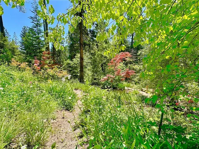 Abundant landscaping surrounds the cabin.