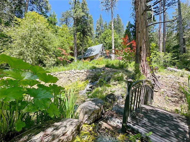 Bridge Near Pond