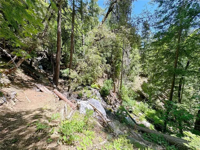Explore the property on another pathway!