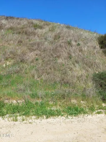 Land view from road