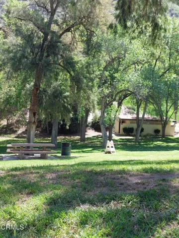 Picnic tables in park