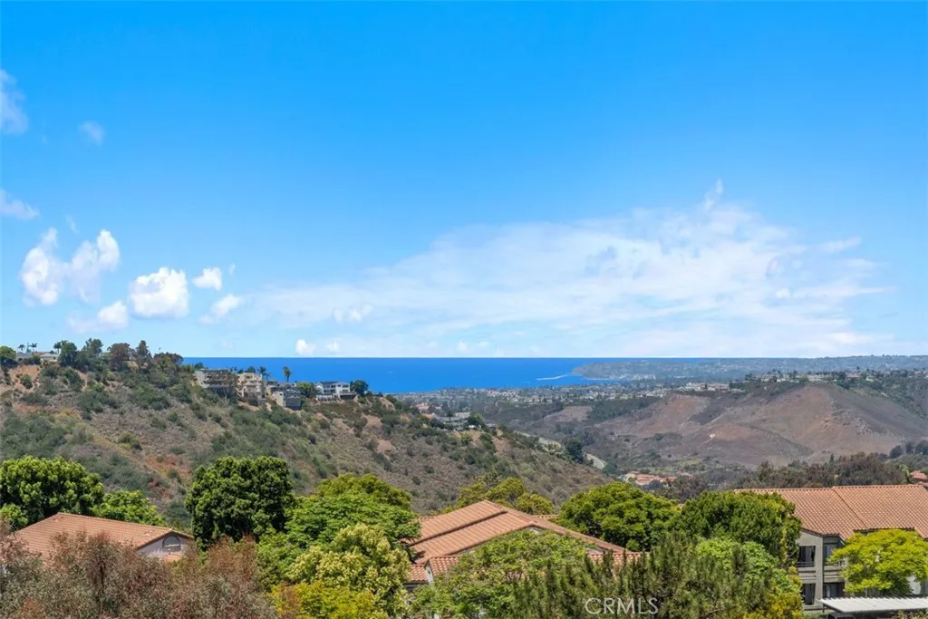 239 Via Presa, San Clemente, California 92672 home-pic-38