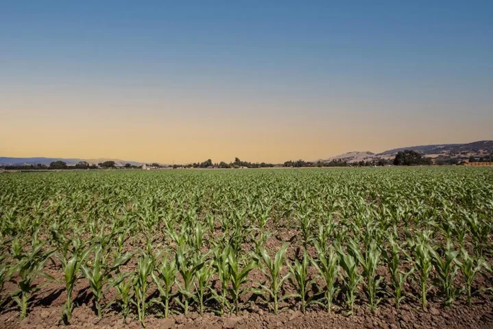 0 Crews Road, Gilroy, California 95020 — photo 5