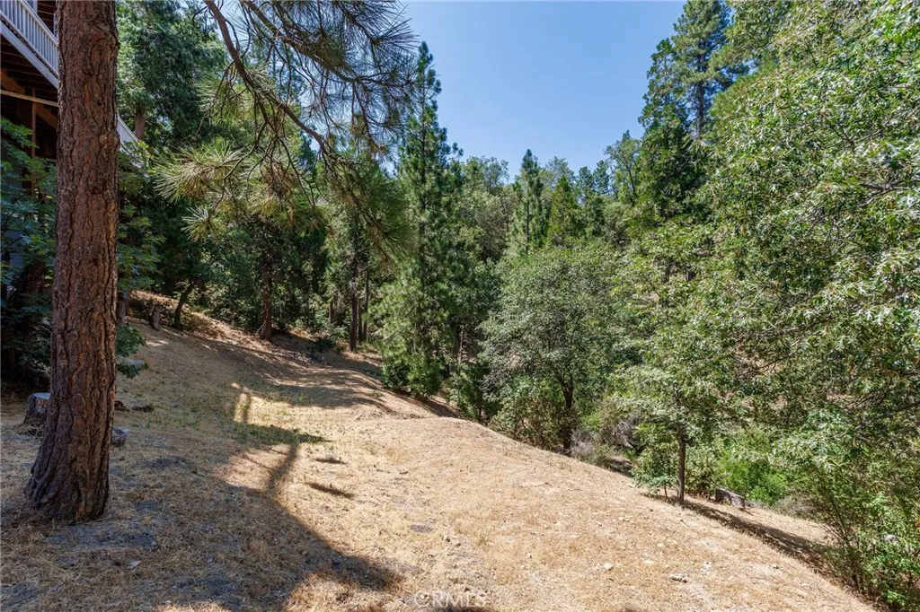 28575 Manitoba Drive, Lake Arrowhead, California 92352 home-pic-47