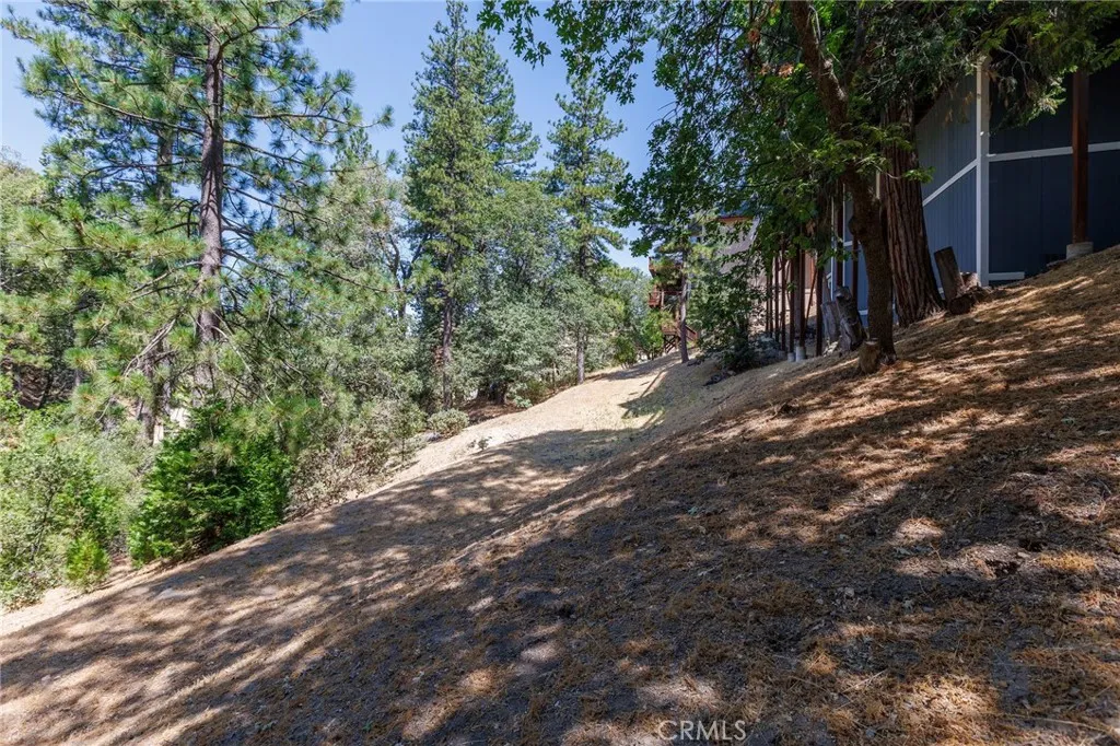 28575 Manitoba Drive, Lake Arrowhead, California 92352 home-pic-46