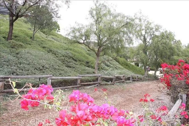 Nearby San Juan Creek Trail