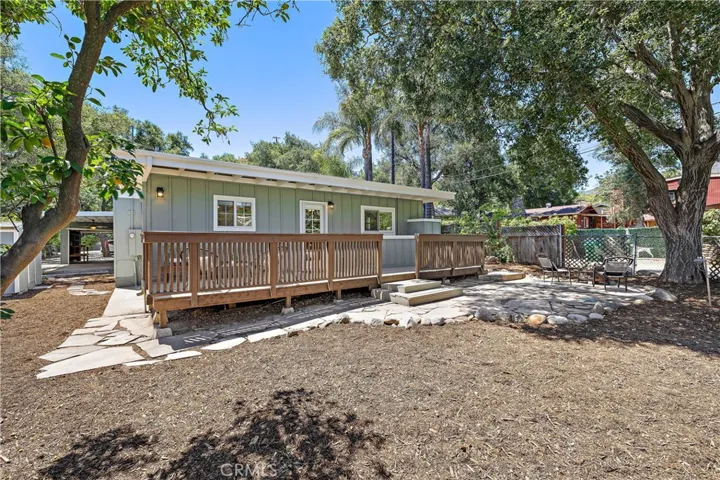 Large Yard w/ Grapefruit Tree