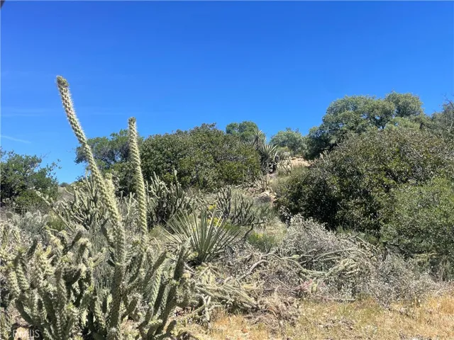 natural foliage