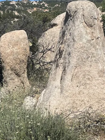your own Easter island.  Or land of the great gorrillas. depending on your imagination.