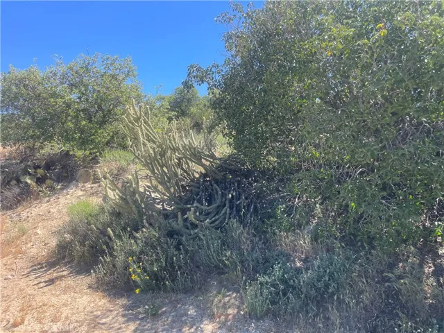 natural foliage and hiking paths