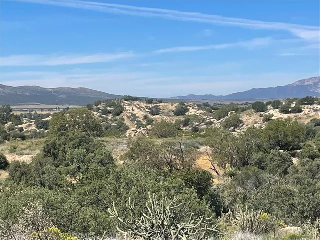 beautiful view of the Anza Valley